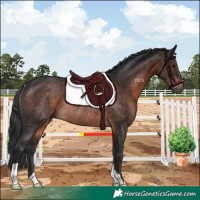 Horse Color:Brown Rabicano 