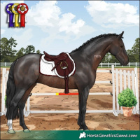 Horse Color:Brown Rabicano