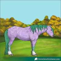 Horse Color:Watercolor Bay Ice 