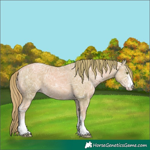 Horse Color:Watercolor Gold Champagne Ice 
