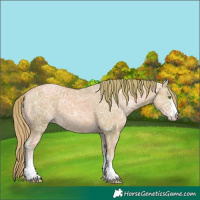 Horse Color:Watercolor Gold Champagne Ice 