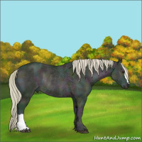 Horse Color:Watercolor Midnight Red Onyx Ice Rabicano 
