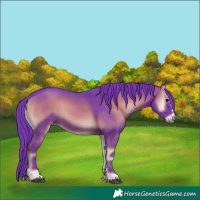 Horse Color:Watercolor Blue Onyx