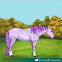 Horse Color:Watercolor Red Dun Ice Rabicano 