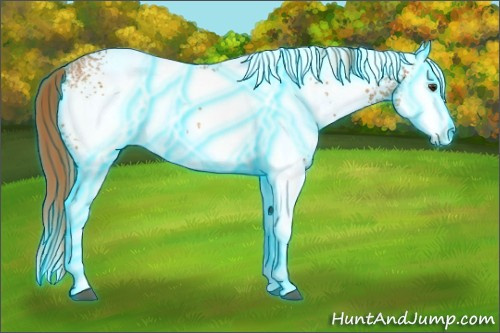 Horse Color:Thunderstruck White Spotted Chestnut Ice Splash 