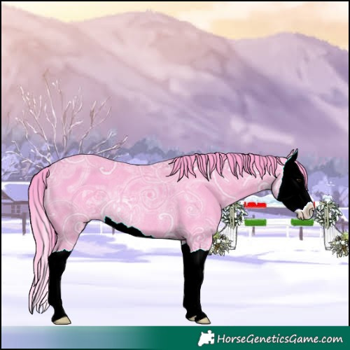 Horse Color:Watercolor Black Ice Splash Rabicano 