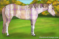Horse Color:Plaid  Chestnut Ice 