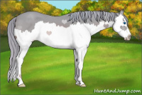 Horse Color:Watercolor Red Roan Splash 