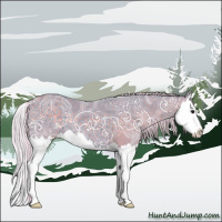Horse Color:Watercolor Silver Black Ice Splash