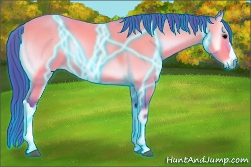 Horse Color:Thunderstruck Watercolor Bay Onyx