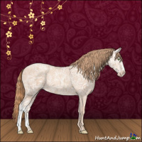 Horse Color:Gold Champagne Ice