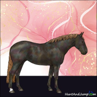 Horse Color:Midnight Chestnut Ice 