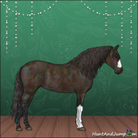 Horse Color:Midnight Bay Ice