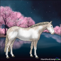 Horse Color:Chestnut Ice Frame 