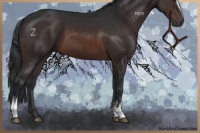 Horse Color:White Spotted Brown 