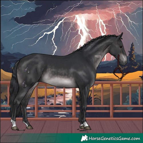 Horse Color:Platinum Brown 