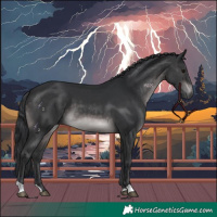 Horse Color:Platinum Brown