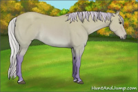 Horse Color:Watercolor Silver Bay Dun