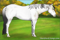 Horse Color:Bay Ice Onyx Tobiano Frame Rabicano