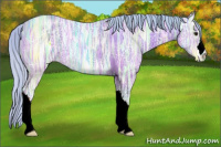 Horse Color:Watercolor Silver Bay Ice Rabicano
