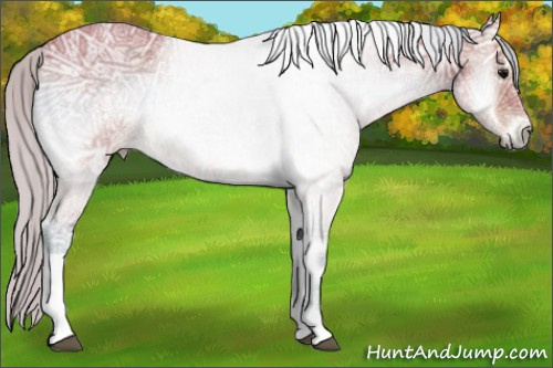Horse Color:Watercolor Silver Brown Ice Onyx 