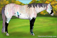 Horse Color:Nacre Bay Ice Onyx Splash 