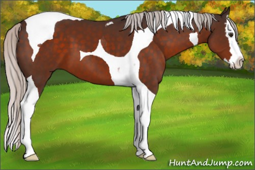 Horse Color:Silver Brown Splash Tobiano