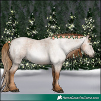 Horse Color:Gray Red Roan Pearl 