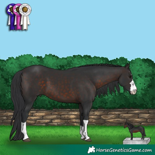 Horse Color:Brown 