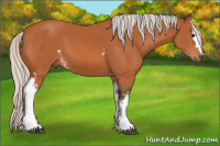 Horse Color:White Spotted Silver Bay 
