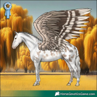 Horse Color:Liver Red Dun Mushroom Appaloosa Brindle 