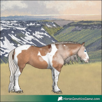 Horse Color:Silver Brown Dun Sabino Splash Tobiano Rabicano 