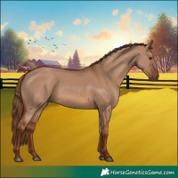 Horse Color:Red Dun 