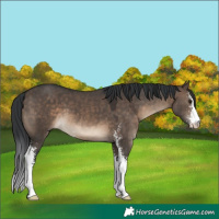 Horse Color:Brown Dun Sabino 
