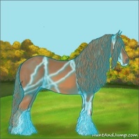 Horse Color:Thunderstruck Chestnut 