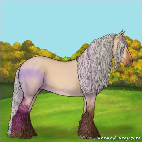 Horse Color:Silver Bay Dun