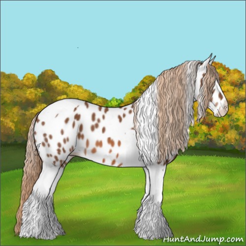 Horse Color:Chestnut Tobiano Appaloosa
