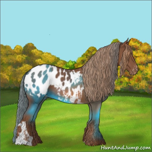 Horse Color:Chestnut Tobiano Appaloosa 