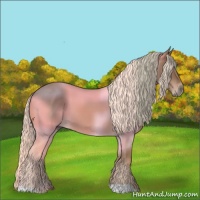 Horse Color:Chestnut Mushroom