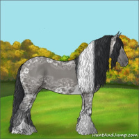 Horse Color:Grullo Ice Tobiano