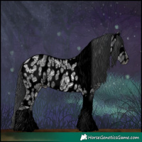 Horse Color:Void Black Ice Tobiano Leopard 