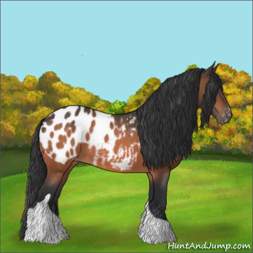 Horse Color:Brown Tobiano Blanket 