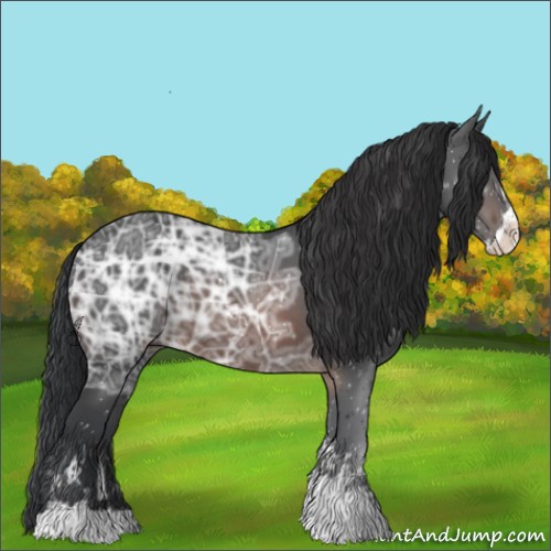 Horse Color:Brown Ice Sabino