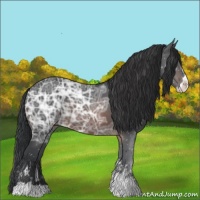 Horse Color:Brown Ice Sabino