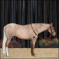 Horse Color:Silver Brown Roan Pearl 