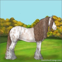 Horse Color:Brown Ice Pearl Sabino Splash Appaloosa 