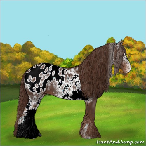 Horse Color:White Spotted Liver Chestnut Sabino Varnish 