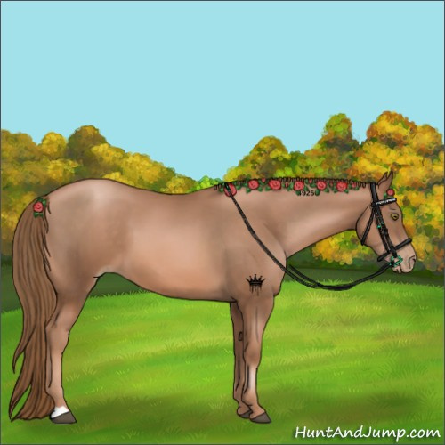 Horse Color:Liver Chestnut Pearl 