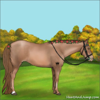 Horse Color:Liver Chestnut Pearl 