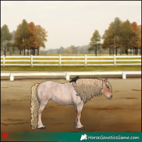 Horse Color:Red Roan 
